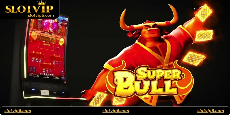 How to Play Bull Bull Supreme