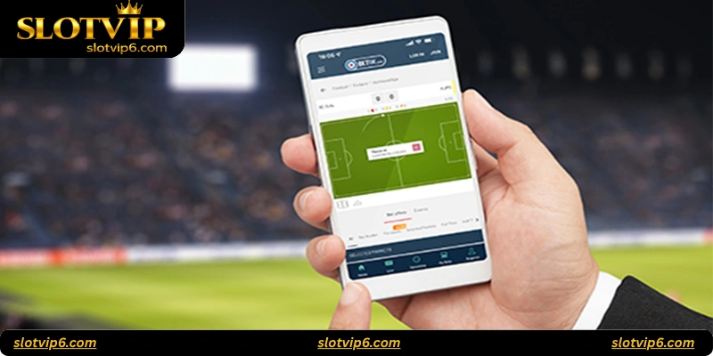 Risk Management and Legal Betting