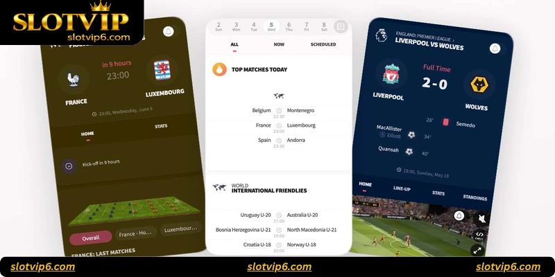 Why Live Score Tracking is Crucial for Sports Bettors