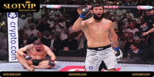 MMA Knockout Bet