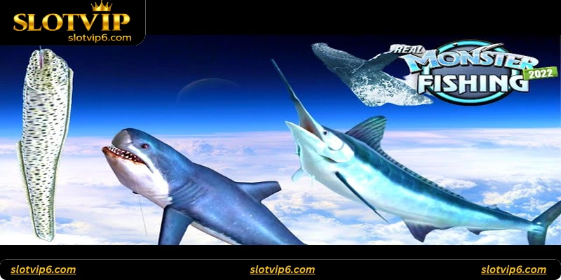 Responsible Gambling Tips for Monster Tide Fishing