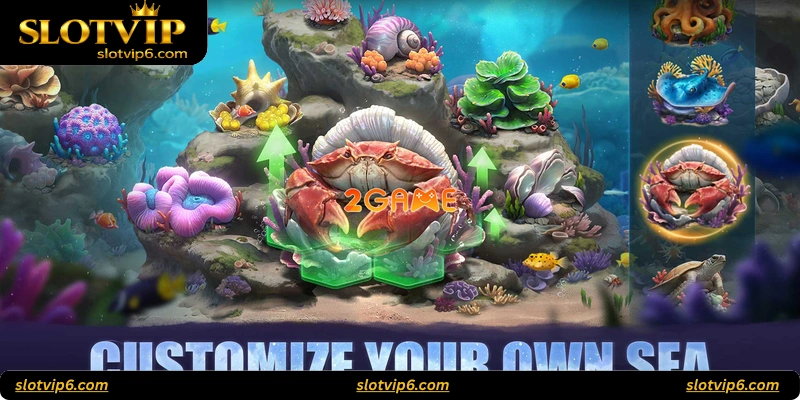 Ocean Fury Slot Game Features
