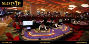 Royal Baccarat Studio