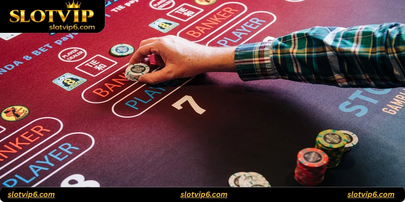 How to Play Baccarat at Royal Baccarat Studio