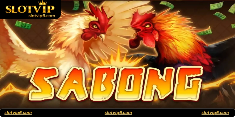 What is Sabong Dynasty?