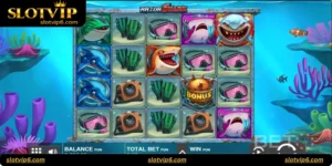 Shark Boom