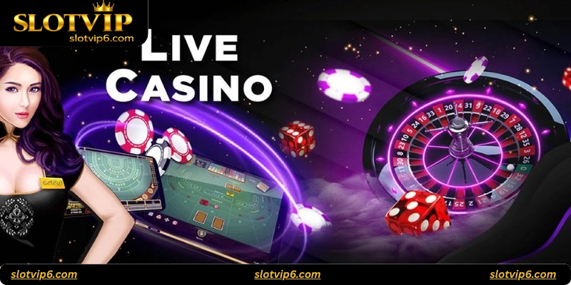 How to Play at Slotvip Live Casino