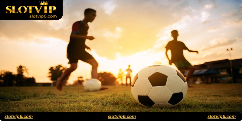Comparing SlotVIP Sports with Other Platforms