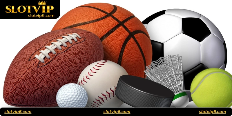 Features of SlotVIP Sports
