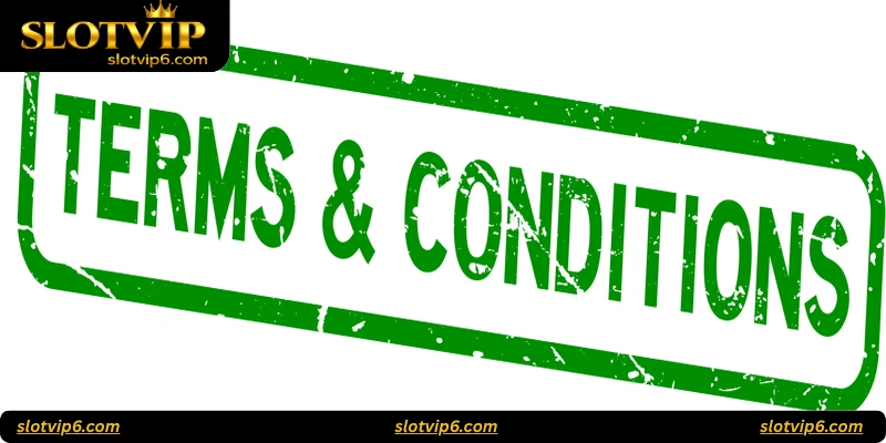 Risks of Ignoring Terms and Conditions