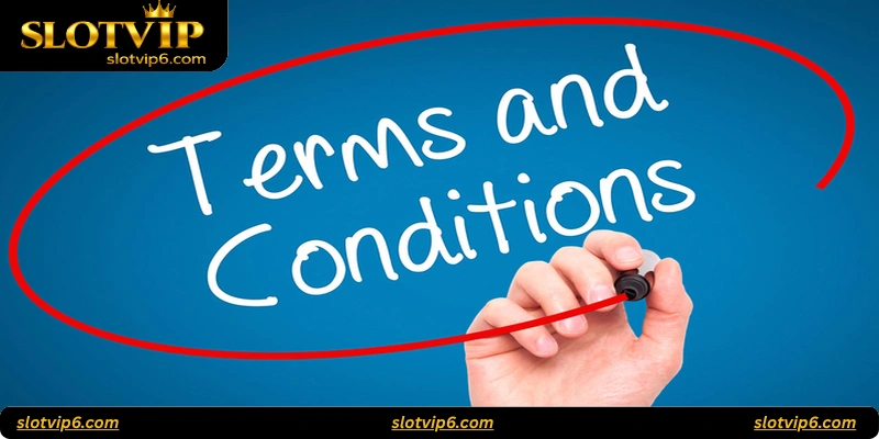 Key Sections in Casino Terms and Conditions